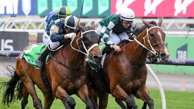 Via Sistina (IRE) ridden by Damian Lane wins the TAB Turnbull Stakes at Flemington Racecourse on October 05, 2024 in Flemington, Australia. (Photo by Pat Scala/Racing Photos via Getty Images)