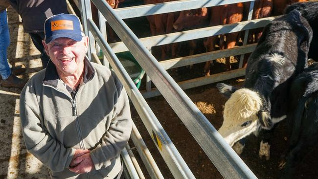 Beaufort farmer Paul Sheedy sold four black baldy heifers at Ballarat. Picture: Rachel Simmonds