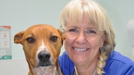 Dr Lilly from Scarness Vet Surgery. Photo: Scarness Vet Surgery website