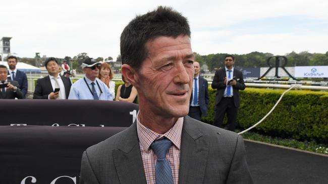 Former jockey turned trainer, Peter Robl, has been instrumental in helping Les Bridge get Classique Legend back to prime condition for his Everest title defence. Picture: AAP Image