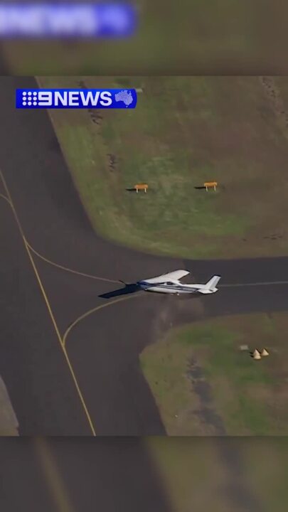 Plane crash lands in Western Sydney
