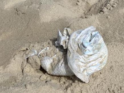 Facebook post captures loaded diaper abandoned on Teewah beach