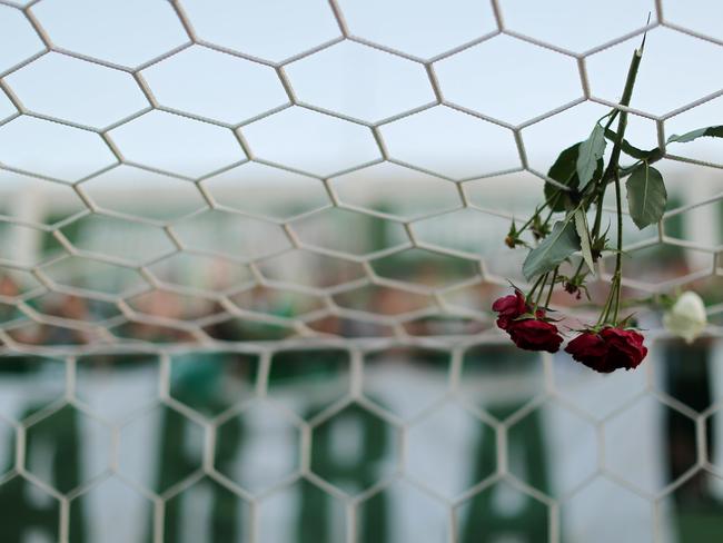 A flower hangs from a net during a tribute to the players of Brazilian team Chapecoense Real. Picture: Heuler Andrey/Getty Images