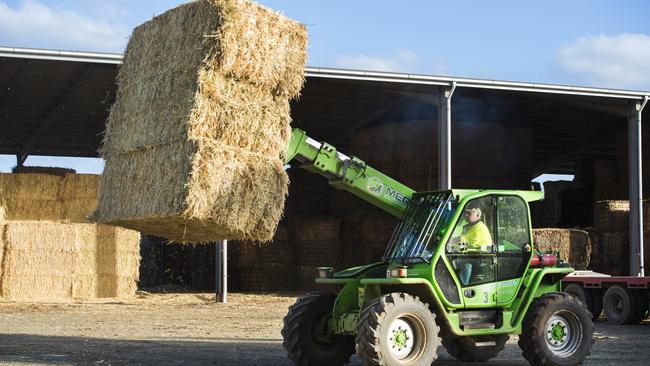 Cereal hay is on the move, but supplies remain high. Picture: Zoe Phillips