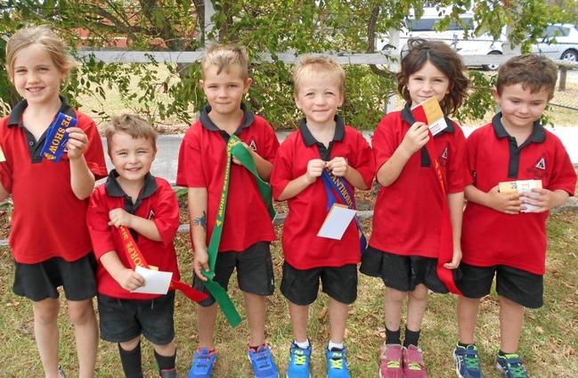 The Summit Prep - Year 2 students who placed in the Stanthorpe Show Critters Competition. Picture: Contributed