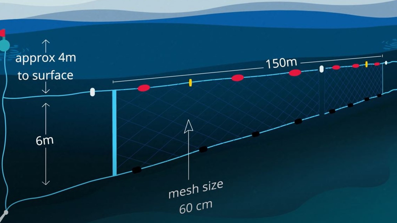 Shark nets do not completely close off an area from wildlife, with space still above the net and between sections. Picture: NSW Department of Primary Industries.