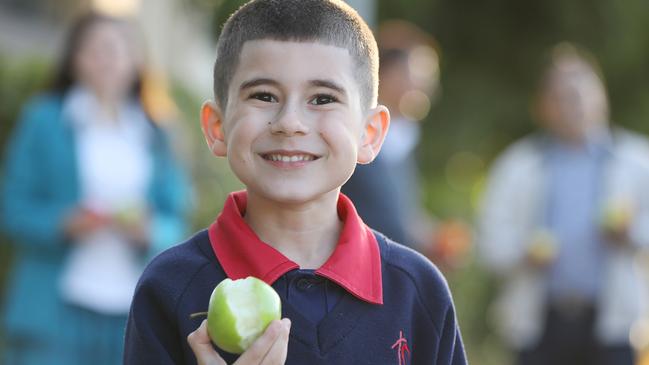 Freddy Sarkis, 6, enjoys an apple. Picture: Angelo Velardo