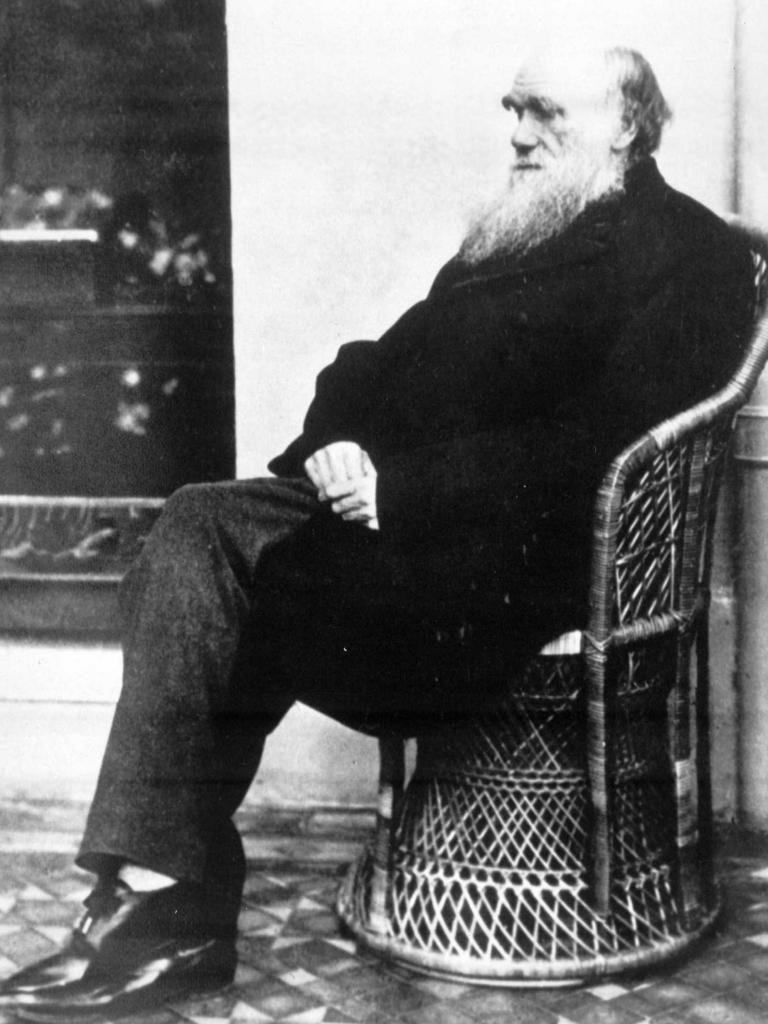 Charles Darwin (1809-1882), author of On the Origin of Species (1859), which explains his theory of evolution.