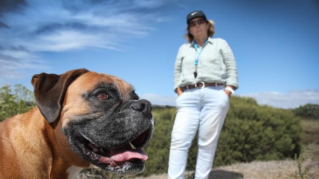 Raylene lost her two-year-old boxer, Logan, after he chased a kangaroo into the Onkaparinga River reserve, and was drowned by the kangaroo. Picture Dean Martin