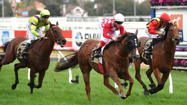 Jalan Jalan, right, chased home Miss Promiscuity at Caulfield in April.