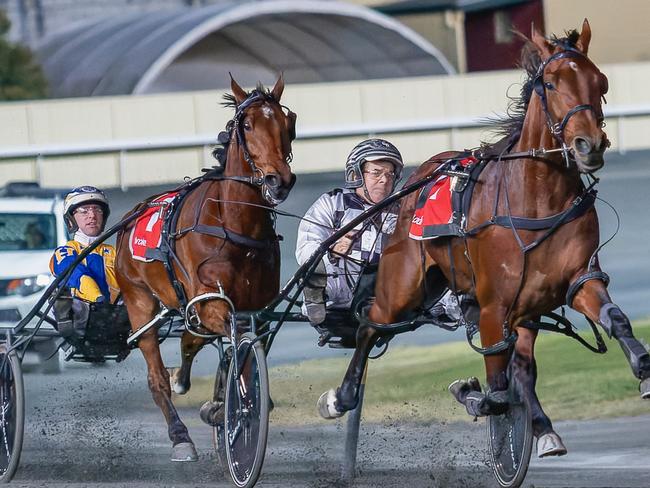 Leap To Fame wins the Mr Feelgood Open at Albion Park, July 13 2024. Picture: Dan Costello
