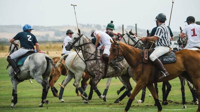 General pictures from the 2018 Barnbougle Polo in Tasmania. Picture: Supplied/ Facebook