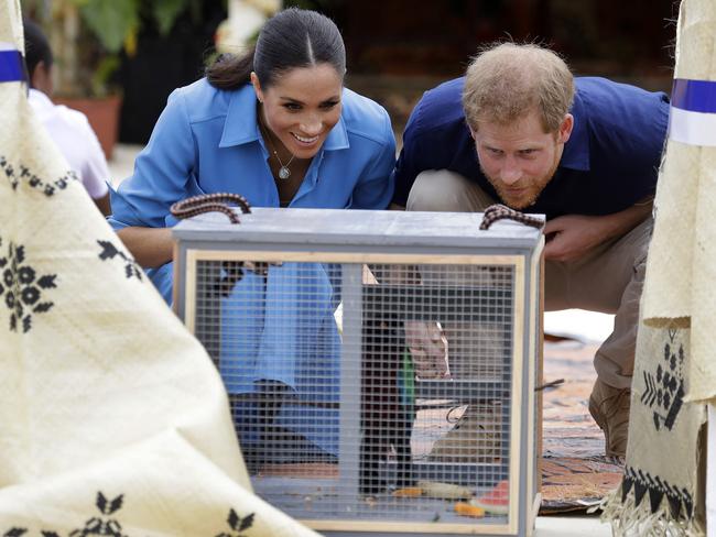 Meghan and Harry got their hands dirty. Picture: AP