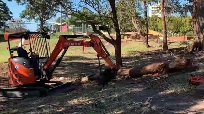 The removal of trees in Cammeray as part of the Western Harbour Tunnel project prompted backlash from residents earlier this year.