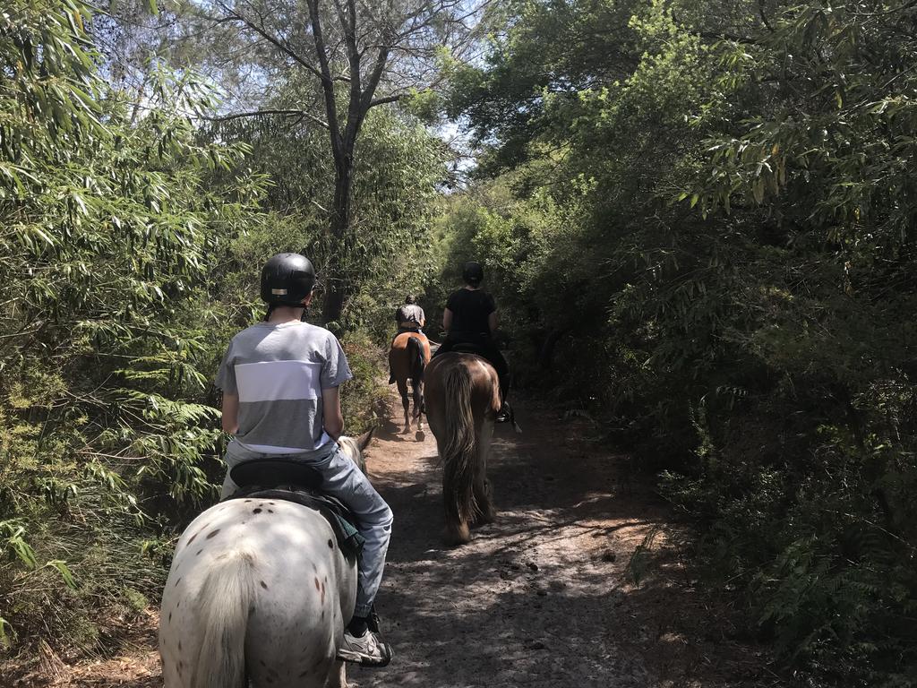 There may not be any better way to discover the Byron Bay forest. Picture: Zephyr Horse Riding