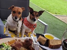 Glenn Tong has spent more than $100,000 fighting the Boroondara City Council over his two dogs “excessive barking”. Picture: Supplied