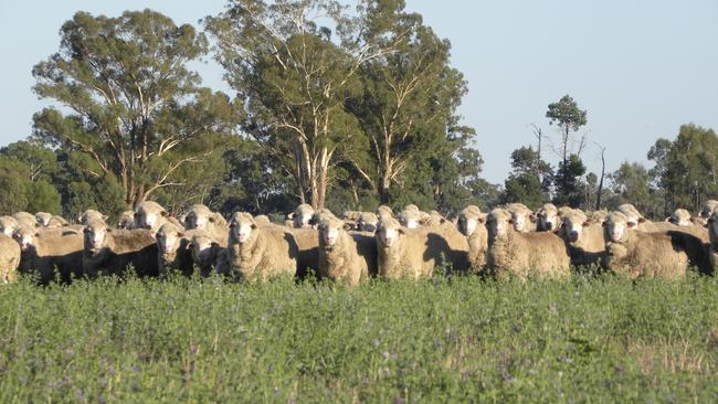 Ready to go: Andrew Clifton says the new owners can definitely start farming immediately and grow a crop this year.