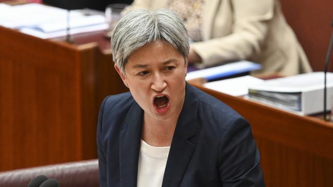 In 18 months in office, Penny Wong has not once visited the Middle East.. Picture: NCA NewsWire/Martin Ollman