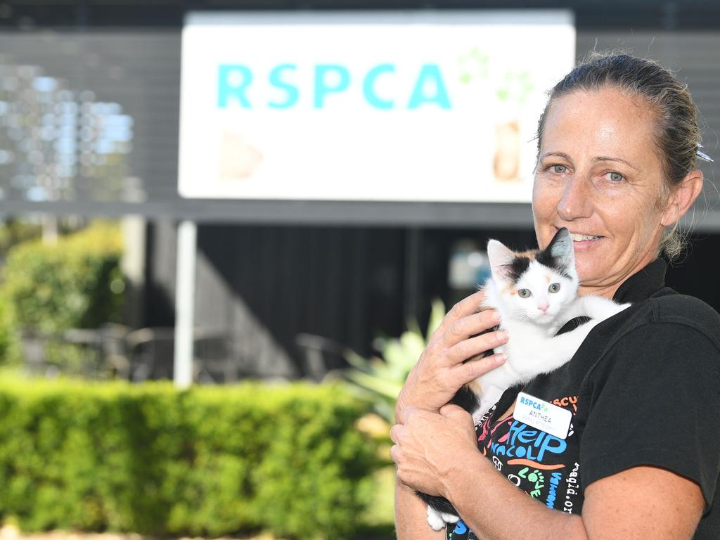 Helping hand-out for Gympie RSPCA during lockdowns | The Courier Mail