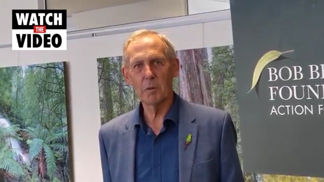 Bob Brown reacts for forests case