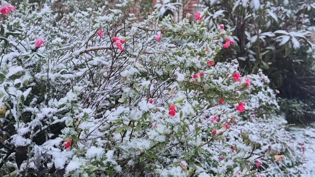 Riana Nilasari’s beautiful white backyard. Picture: Instagram.