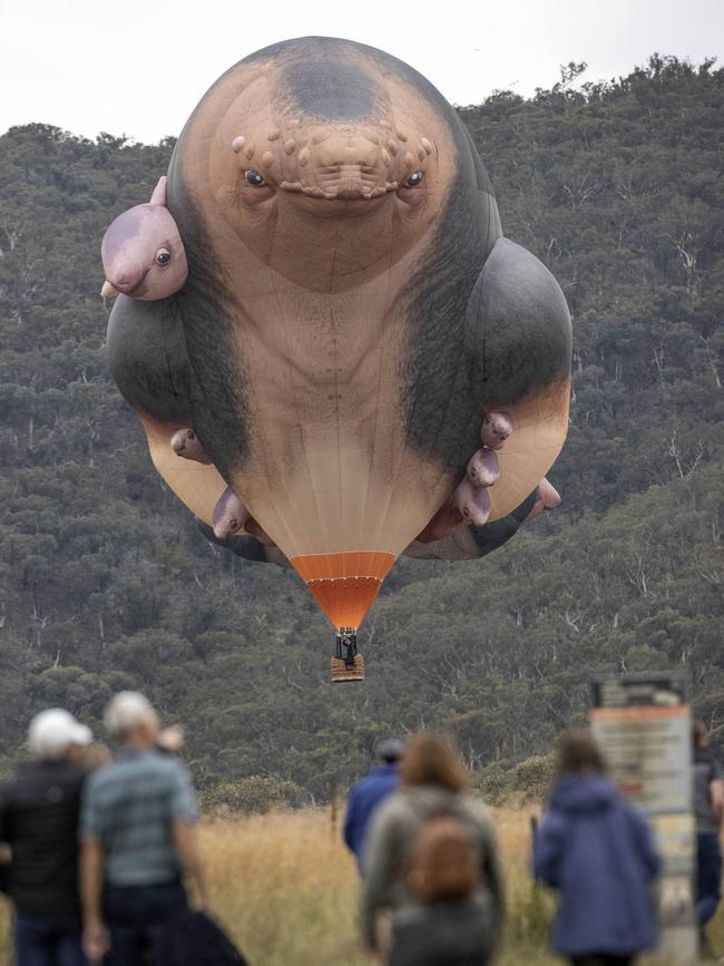 Skywhalepapa in the air in Canberra on Monday morning. Picture: NCA NewsWire / Gary Ramage