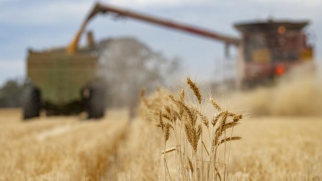 Australia needs to be building its agribusinesses and related infrastructure, such as grain-handling facilities at ports, in order to help feed a growing global population, Bernard Salt says. Picture: Zoe Phillips