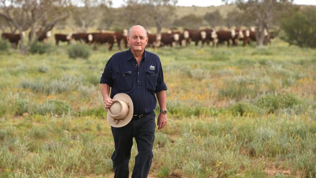 Organic beef grazier David Brook with some of his herd. Picture: Lyndon Mechielsen/The Australian