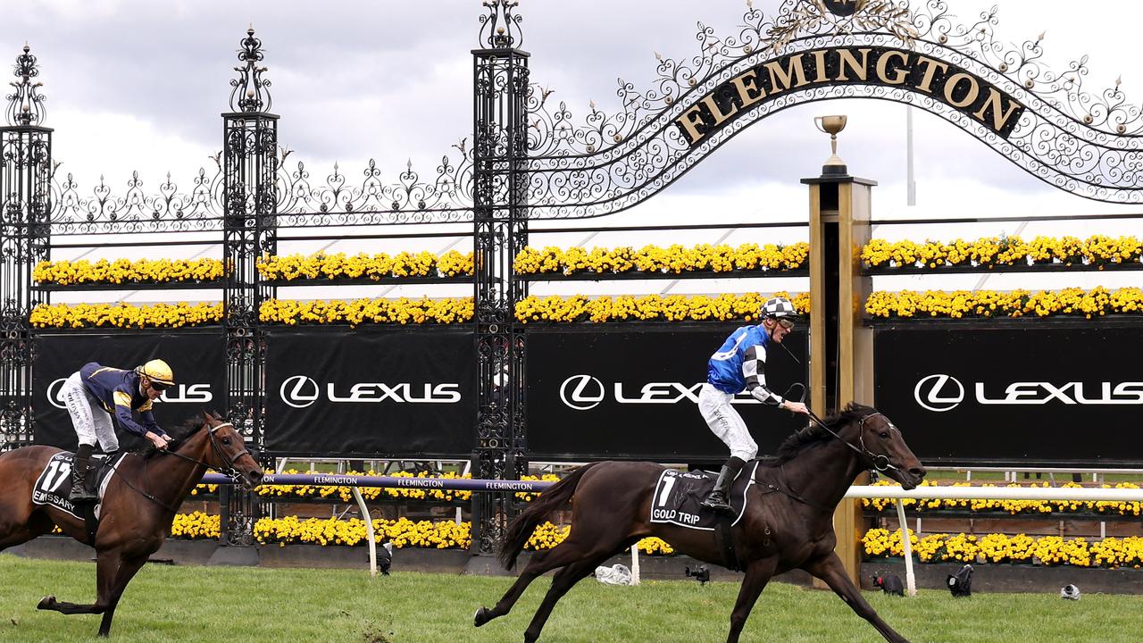 Gold Trip both made punters’ days and also left plenty shattered. Photo by Jonathan DiMaggio/Getty Images for VRC