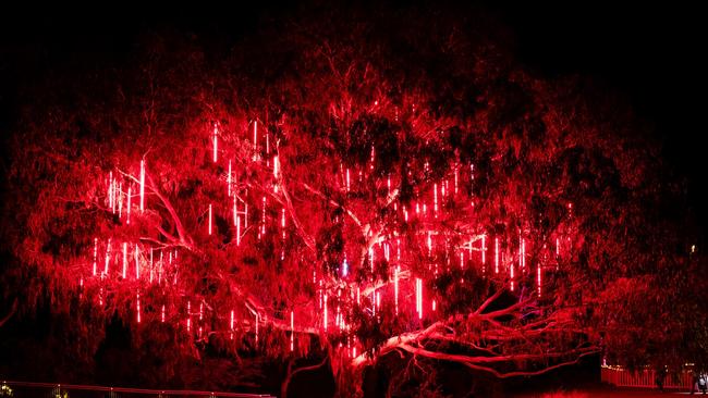 Wyndham will be lit up with bright colours next weekend as part of the annual LIT festival