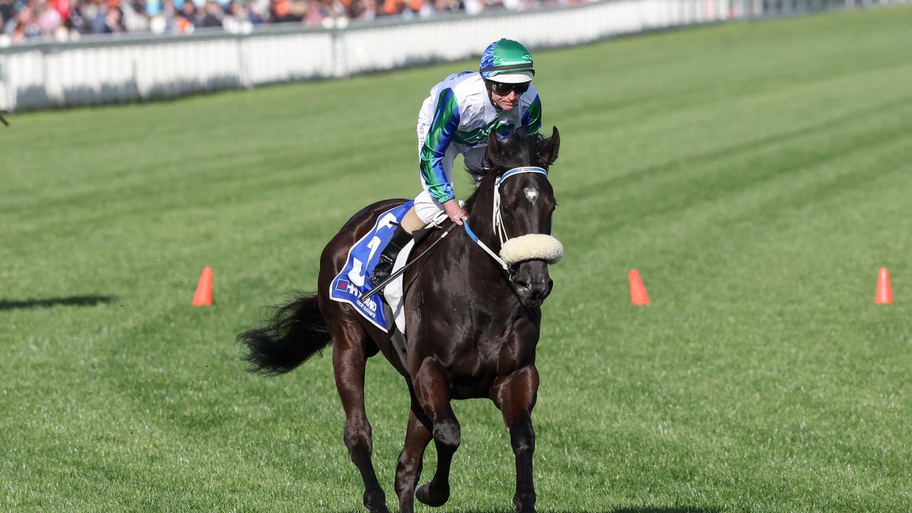 I Wish I Win (NZ) on the way to the barriers prior to the running of the Hyland Race Colours Toorak Handicap at Caulfield Racecourse on October 08, 2022 in Caulfield, Australia. (Photo by George Sal/Racing Photos via Getty Images)