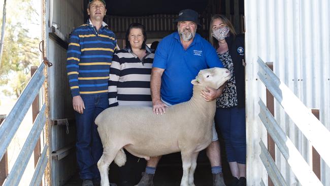 John and Emma Tischler, of Apsley (left) with Ilfracombe Poll Dorset principals Damon and Peggy Coats, with one of the rams bought by the Tischlers for $2500. Picture: Zoe Phillips