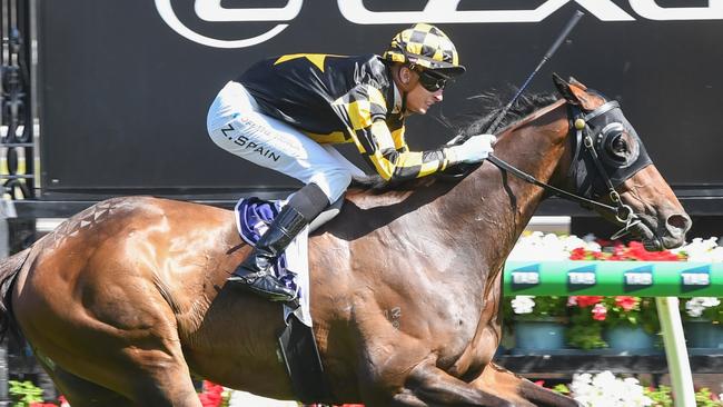 Grand Pierro ridden by Zac Spain wins the Bagot Handicap at Flemington Racecourse on January 01, 2025 in Flemington, Australia. (Photo by Brett Holburt/Racing Photos via Getty Images)