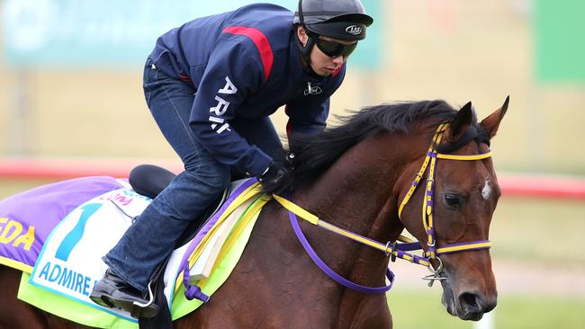 Improve your chances and back the favourite Admire Rakti in the Melbourne Cup.