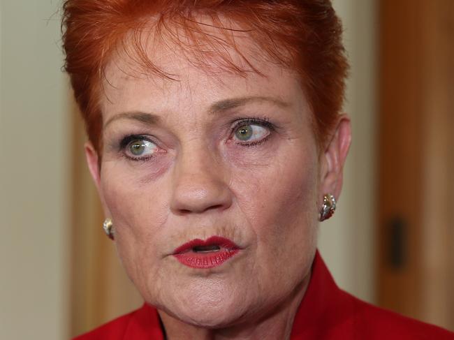 Pauline Hanson during a press conference at Parliament House in Canberra. Picture Gary Ramage
