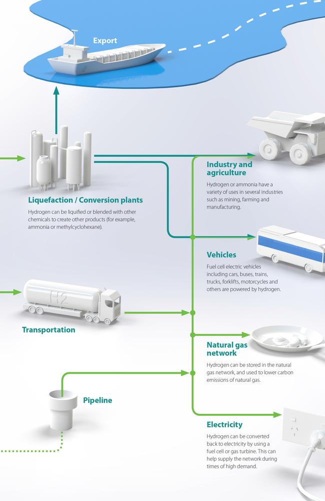 The Hydrogen Action Plan