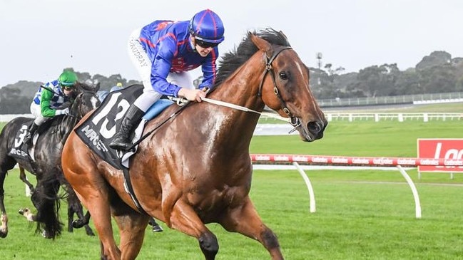 Globe looks ready to peak third-up in the Cranbourne Cup. Picture: Brett Holburt/Racing Photos