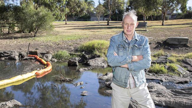 President of Friends of Stony Creek Steve Wilson says the full rehabilitation of Stony Creek could take 10 years. Picture: Ellen Smith