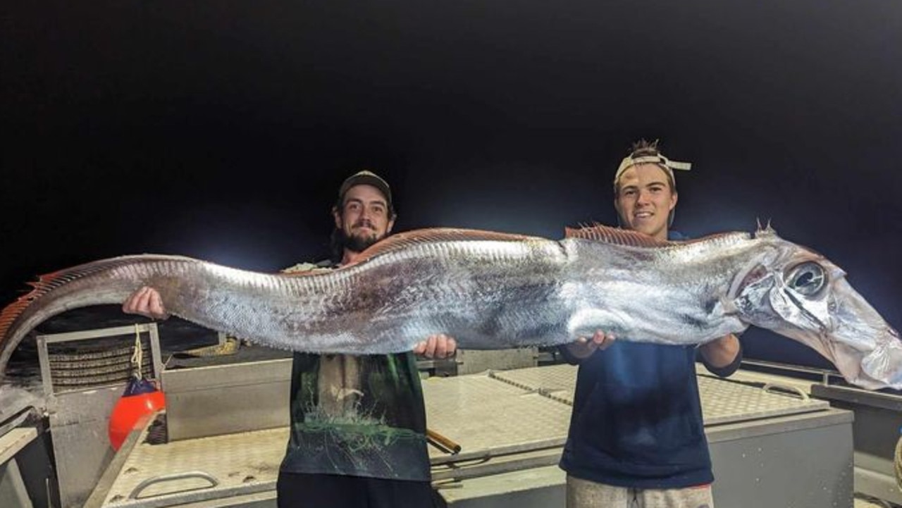 Curtis Peterson from Tiwi Islands Adventures reeled in this creature from the deep during a recent charter. Picture: Fishing Australia TV Facebook