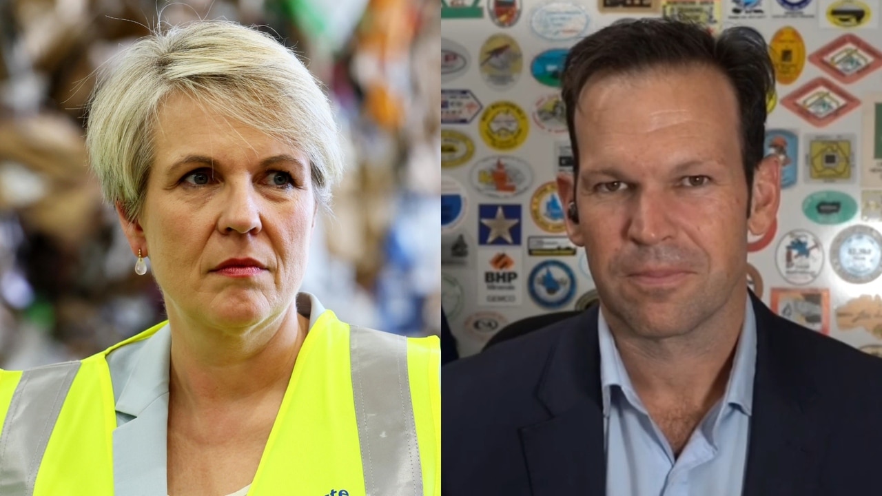 ‘Imitating an activist’: Matt Canavan slams Tanya Plibersek’s gold mine decision