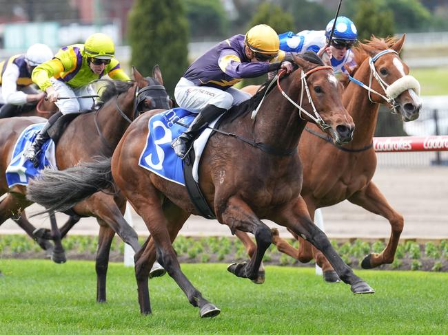 Fistsoffury ridden by Jye McNeil wins the Inglis Ready2Race Sale 10 Oct Handicap at Moonee Valley Racecourse on September 09, 2023 in Moonee Ponds, Australia. (Photo by Scott Barbour/Racing Photos via Getty Images)