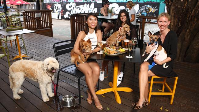 essica Brodd with Scoo, Veronika Zaferis with dog Sasha and Nastasha Tupas with Foxy, Sophie (white dog) in the middle. Picture: Chris Pavlich