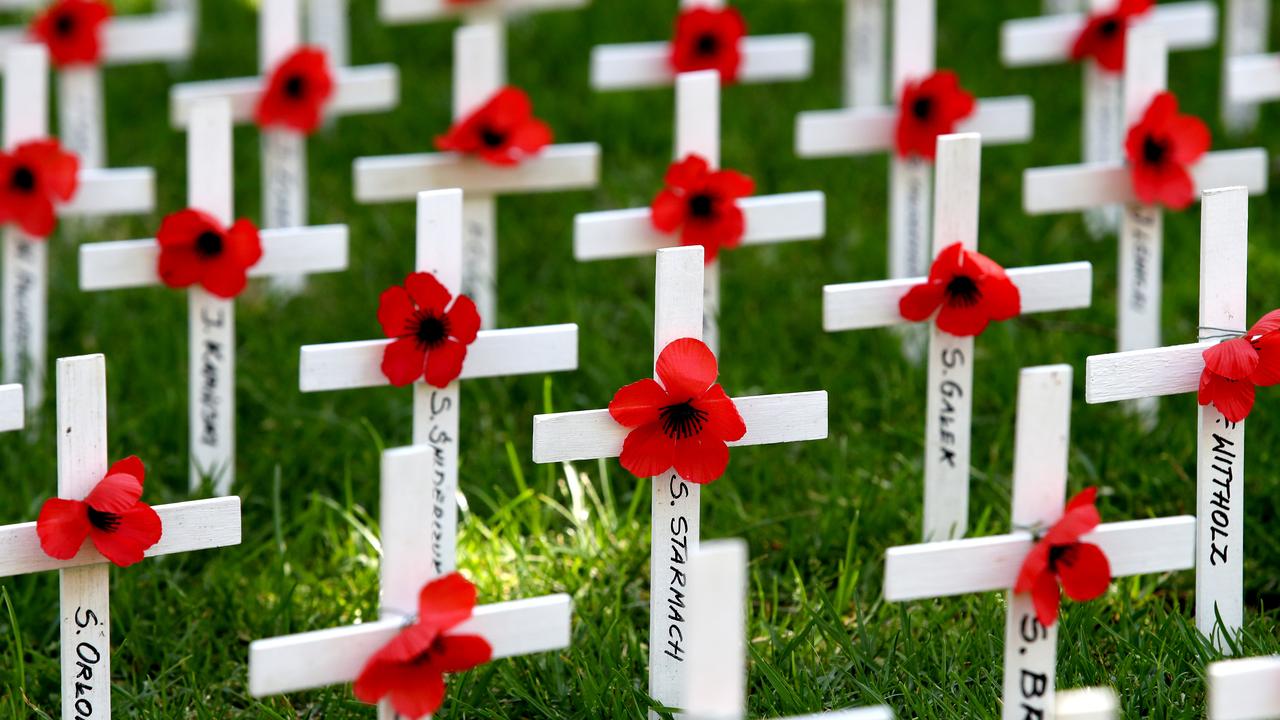 8 things you can do for Remembrance Day, Articles