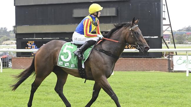 Smart filly Dancing Alone can maintain her unbeaten record at Kembla on Thursday. Picture: Bradley Photos