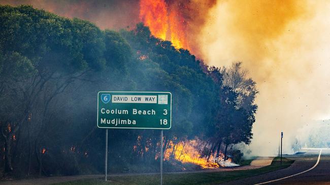 Firefighters on scene south of Peregian Beach as water bombing helicopters were called in to fight the wild bushfire. Photo Lachie Millard