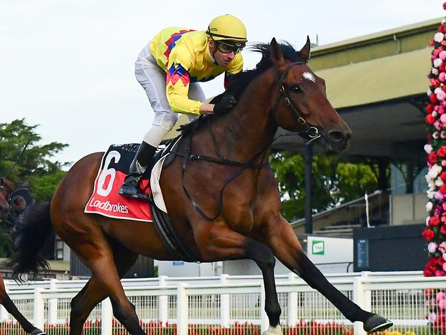 Exciting Tony Gollan-trained three-year-old Freedom Rally is one to watch at Eagle Farm on Saturday. Picture: Grant Peters, Trackside Photography, ,