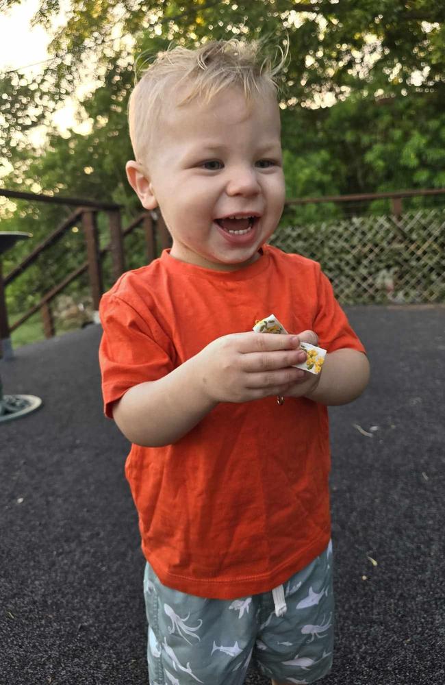 #5 Braxton: 1 year old (Gladstone)