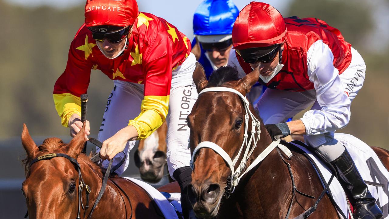 Giannis (right) can book his spot in The Big Dance with a win in the Murwillumbah Cup. Picture: Getty Images