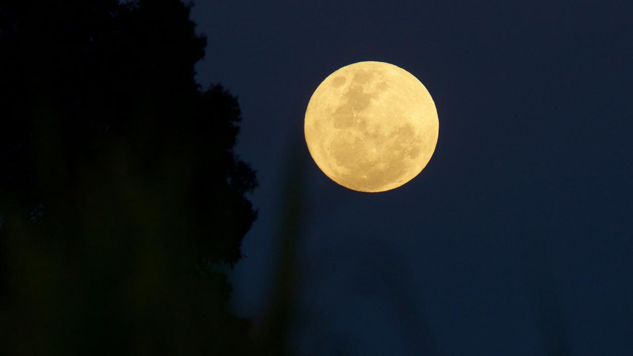 A supermoon rising over the Perth Hills in Western Australia in November 2016. Picture: AAP Image/Richard Wainwright