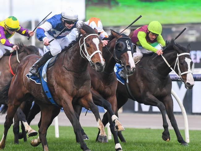 Skyman (GB) ridden by Damien Thornton wins the Furphy Lager Trophy at Flemington Racecourse on August 08, 2020 in Flemington, Australia. (Natasha Morello/Racing Photos via Getty Images)